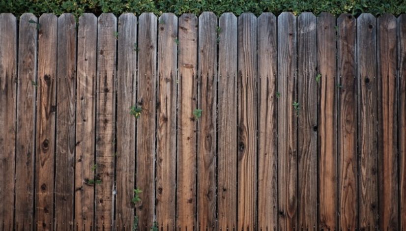 fence-with-neighbors